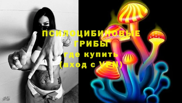 круглые Алексеевка