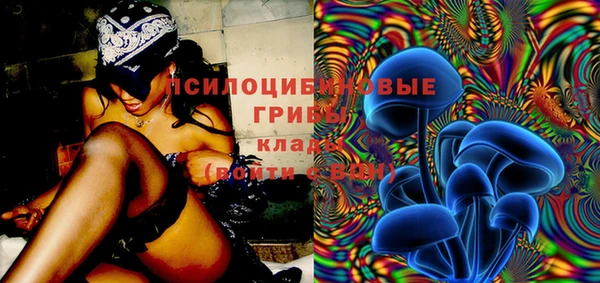 круглые Алексеевка