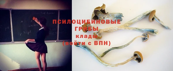 круглые Алексеевка