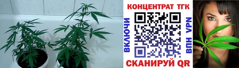 Дистиллят ТГК концентрат Евпатория