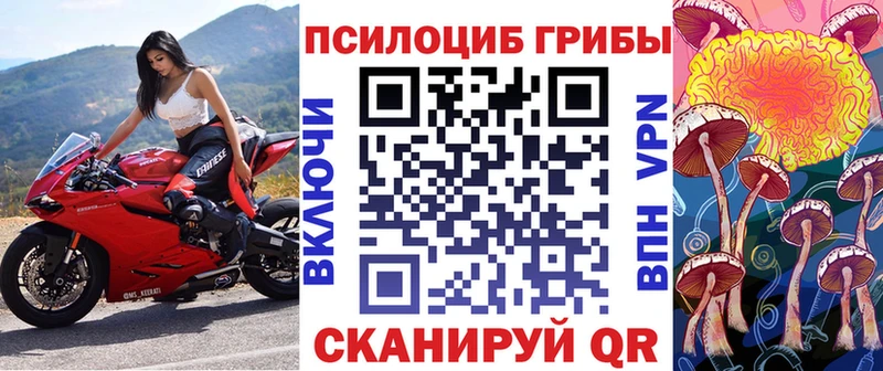 Псилоцибиновые грибы Magic Shrooms  сайты даркнета Telegram  Евпатория 
